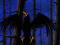 Raven Bird Heritage.png