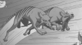 Thylacines Attack Dingo.png