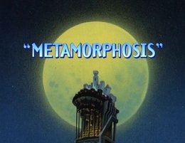 Metamorphosis.JPG